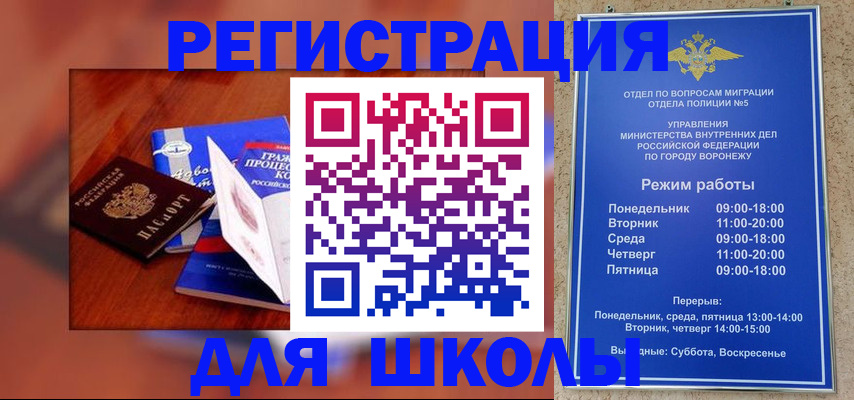 прописка для работы в Бабаево